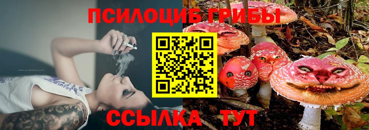 Галлюциногенные грибы мицелий Кохма